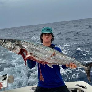 Meet your Posher, Luke